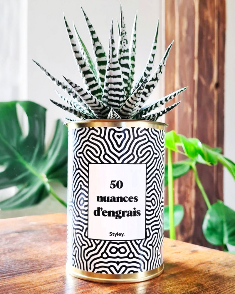 plante-50-nuances-dengrais-styley