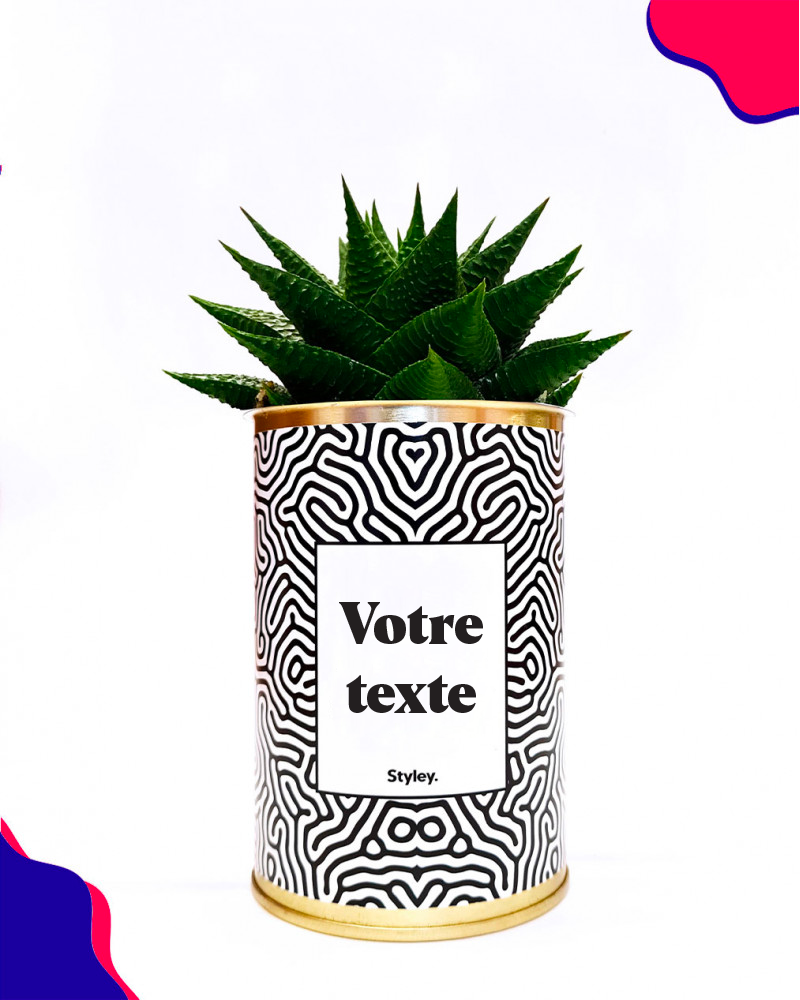 plante-au-message-personnalisable-styley-co