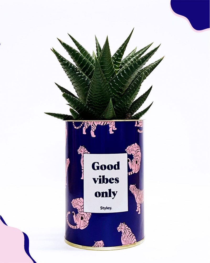 cactus-good-vibes-only-styley-co