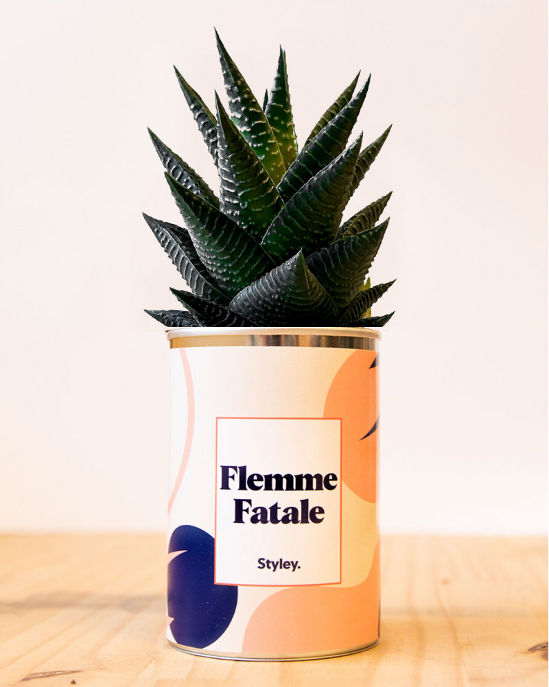 cactus-flemme-fatale-styley-co