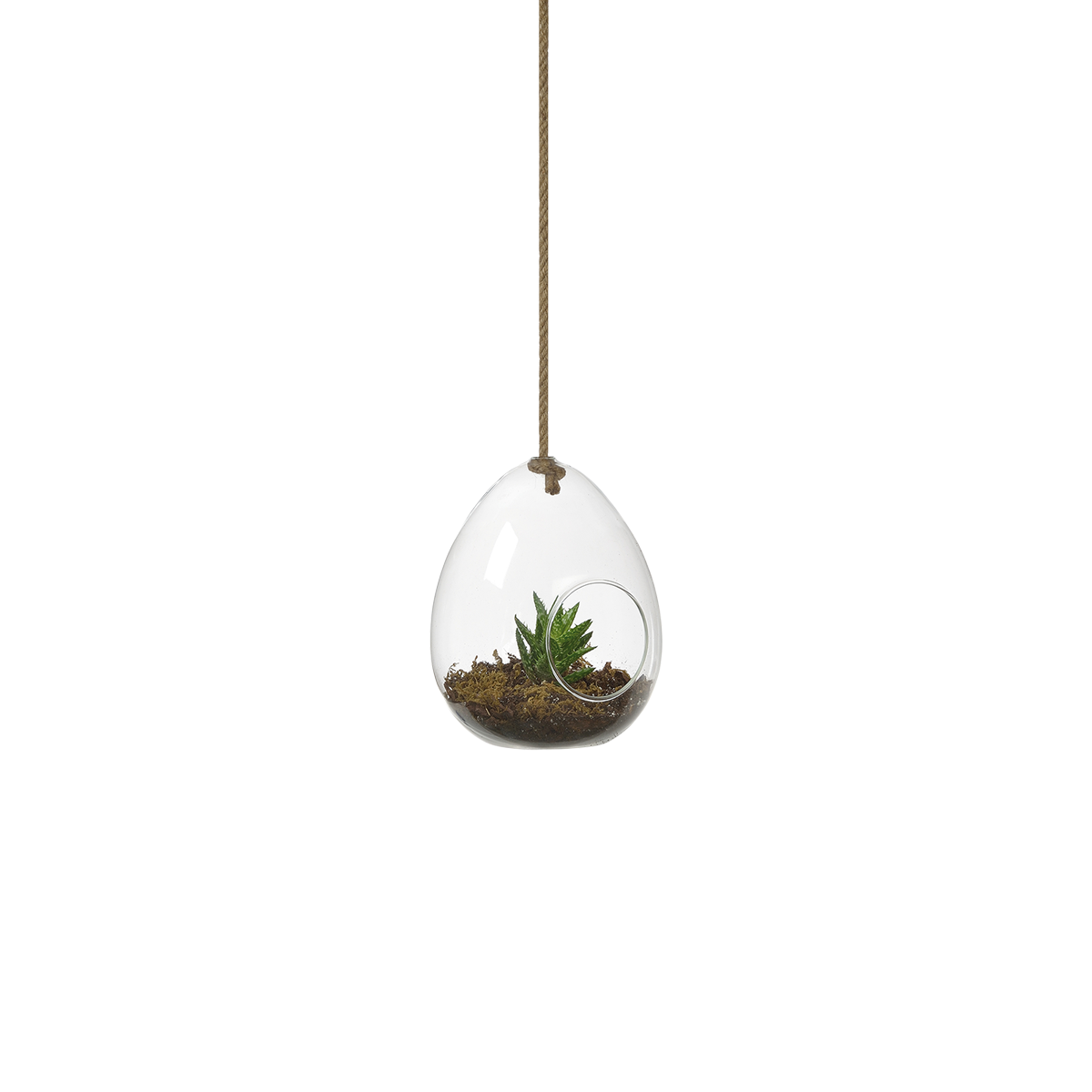 terrarium-suspendu-huevo-verre-corde-andrea-house