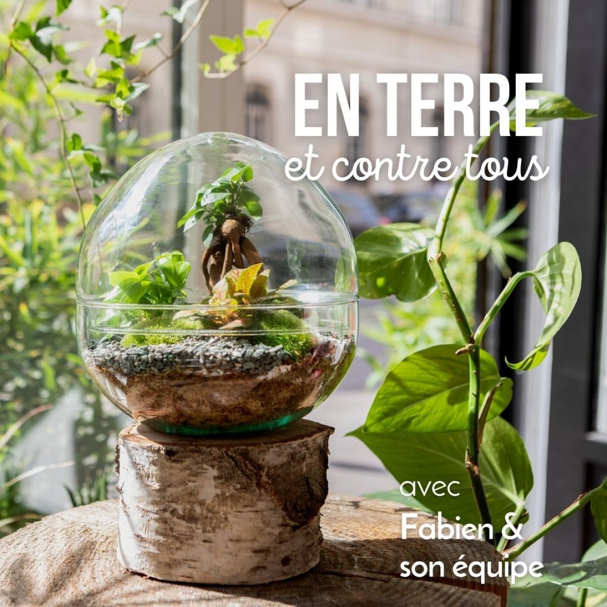 atelier-artisan-crez-votre-terrarium-paris-wecandoo