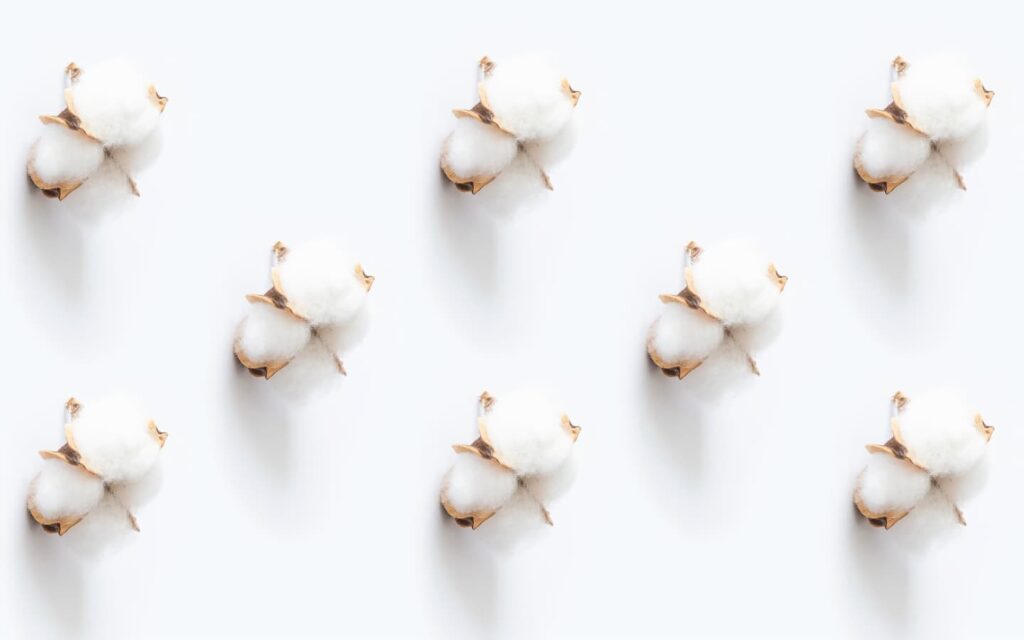 Noces de coton : idées cadeaux pour vos 1 an de Mariage The Good List