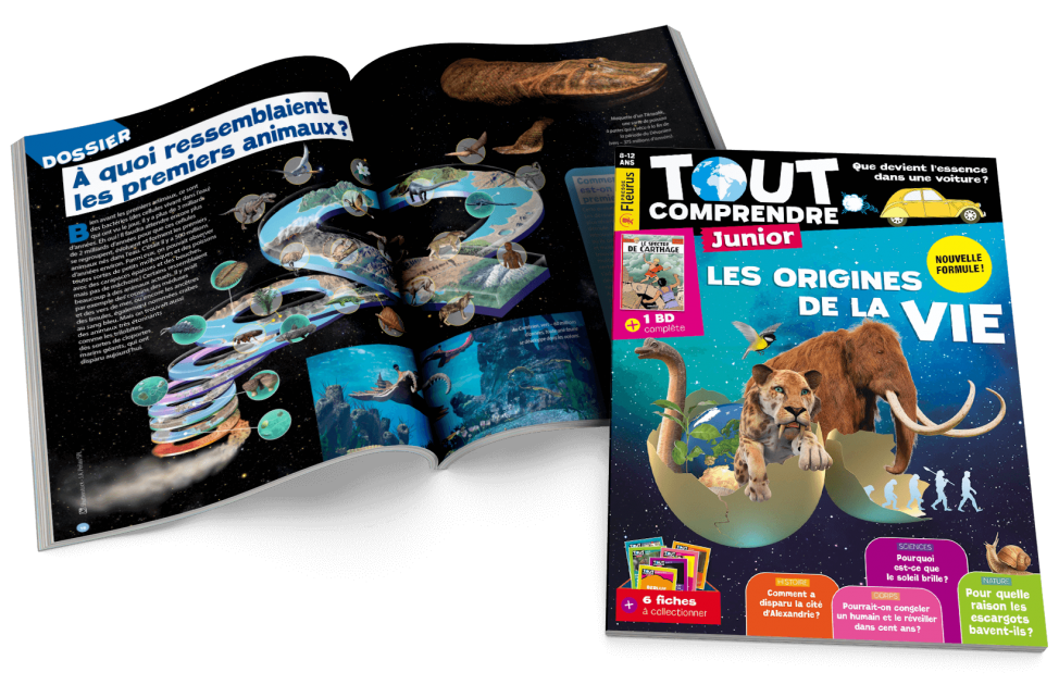 abonnement-magazine-tout-comprendre-junior