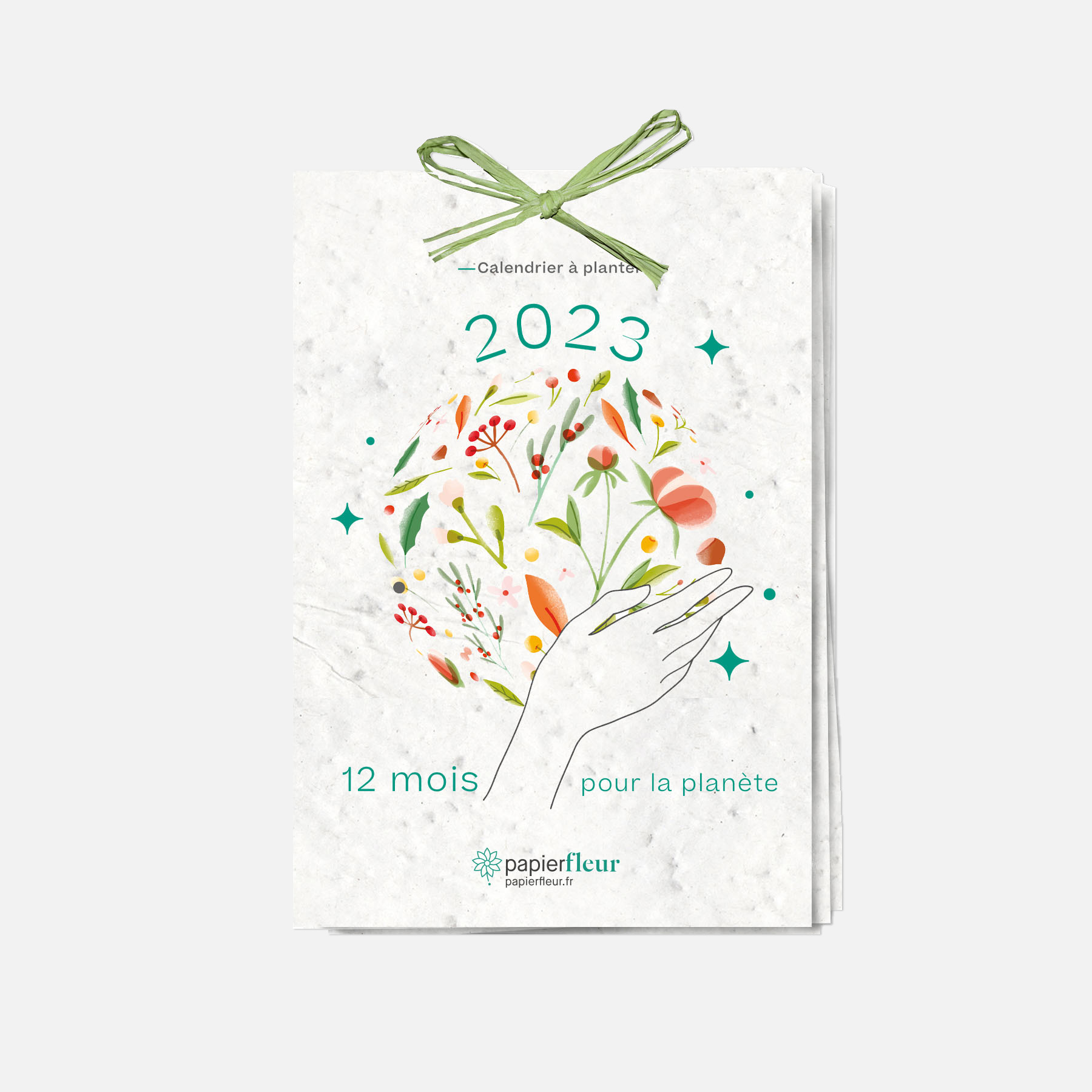 calendrier-planter-12-mois-pour-la-plante-2023-papierfleur