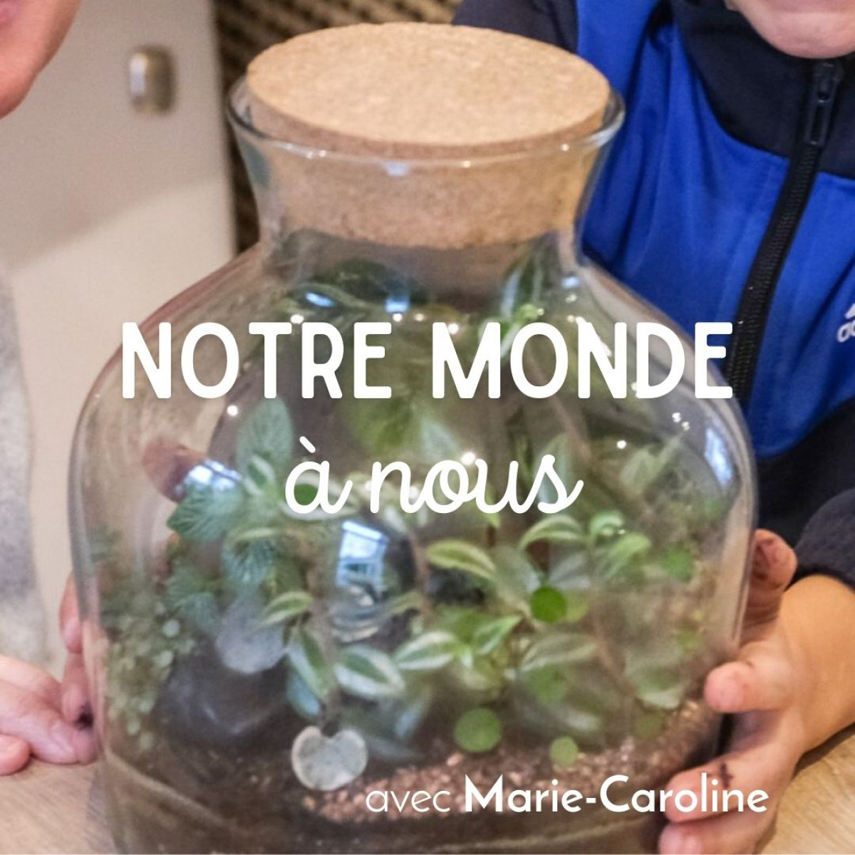 atelier-artisan-crez-votre-terrarium-en-duo-avec-votre-enfant-wecandoo