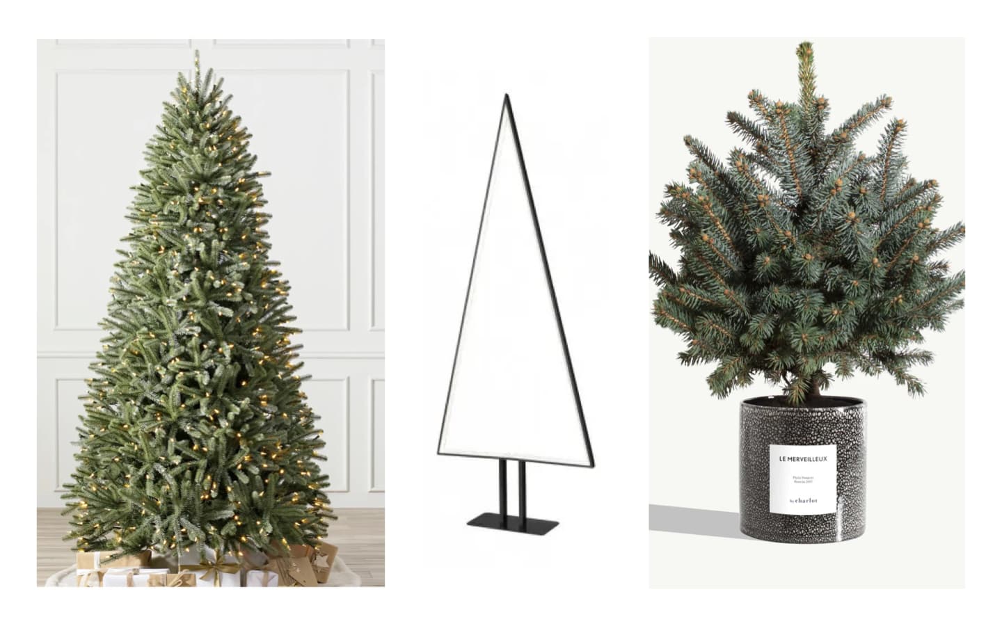 Tout sur les sapins de Noël - Magazine Avantages