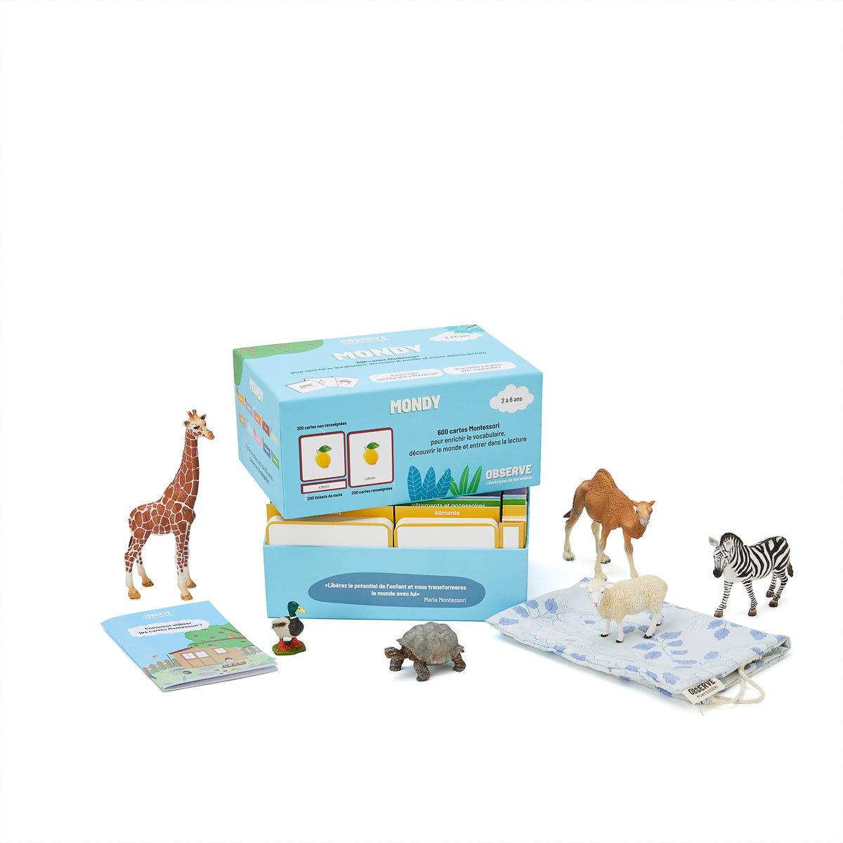 coffret-de-cartes-de-nomenclature-montessori-mondy%ef%b8%8f