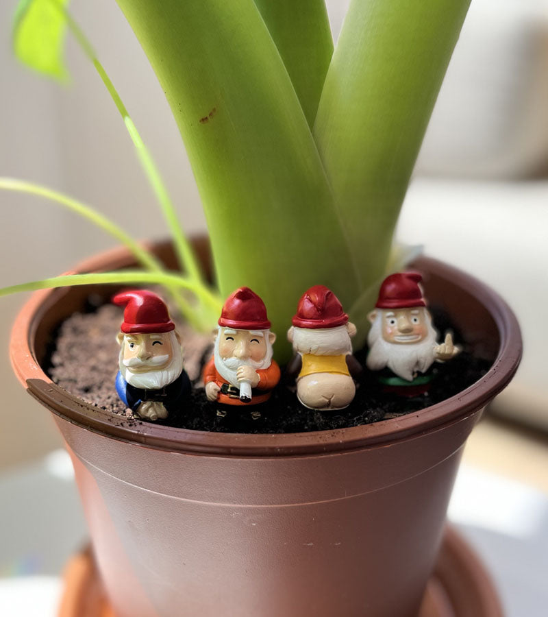 mini-gnomes-de-jardin-effronts-lavant-gardiste