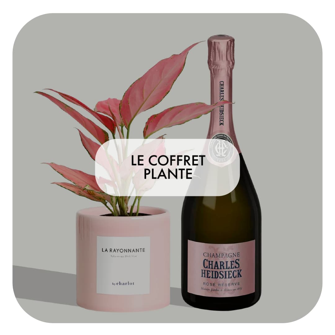 Cadeau d'anniversaire Maman - Coffret plante