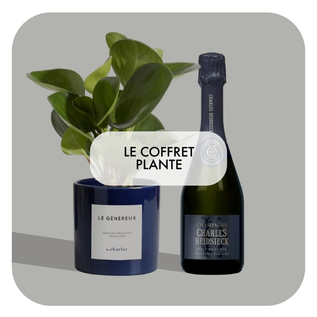 Coffret cadeau design - By Charlot