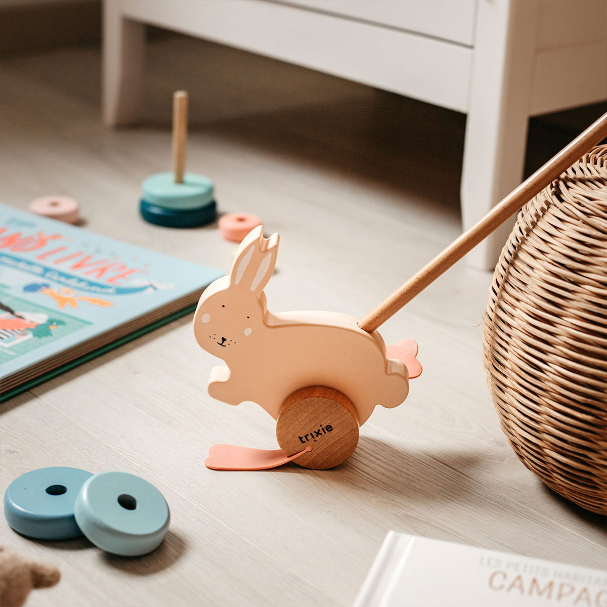 jouet-animaux-pousser-en-bois-les-petits-raffineurs