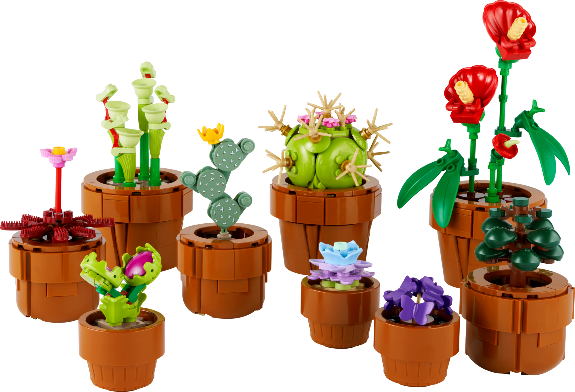 les-plantes-miniatures-10329-lego-icons-boutique-lego-officielle-fr-12