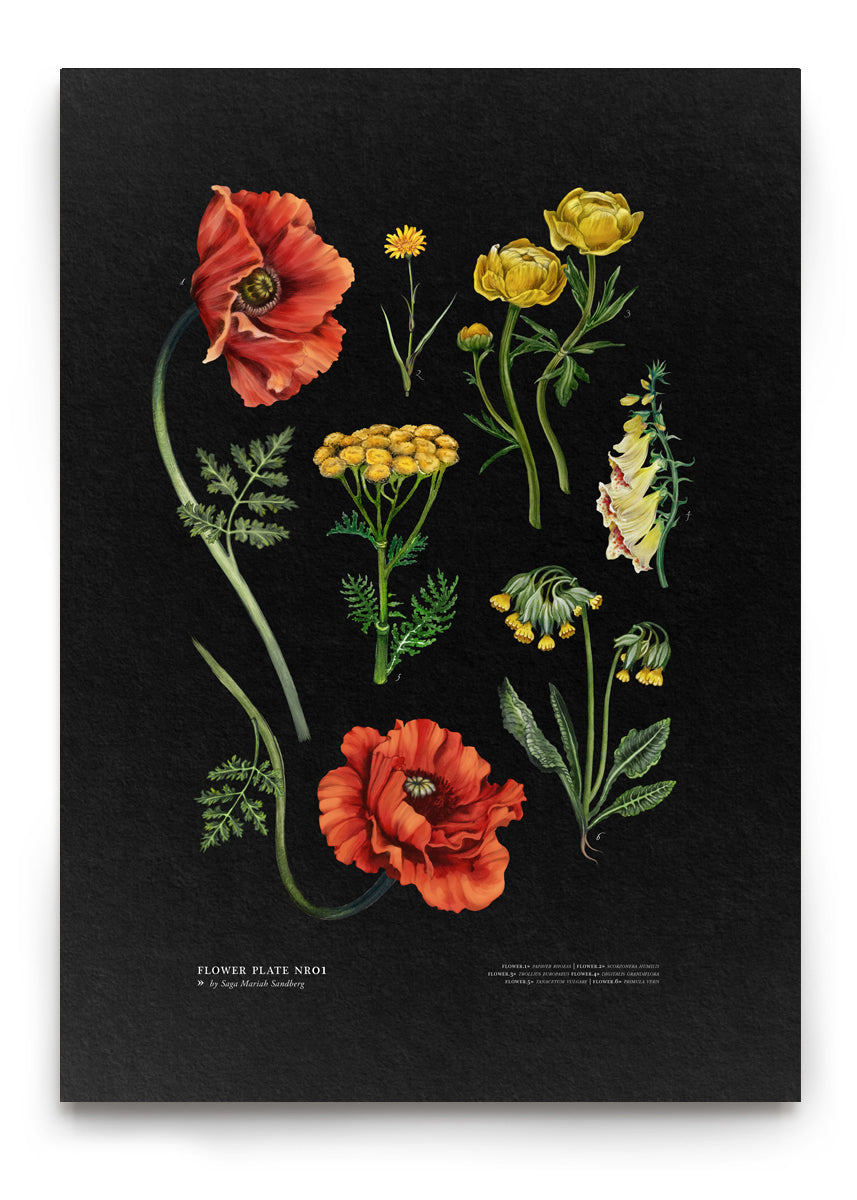flower-plate-no1