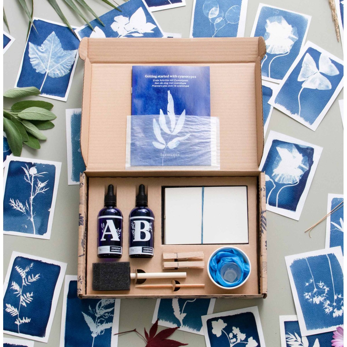 kit-cyanotypes-le-coffret-crations-les-raffineurs-2