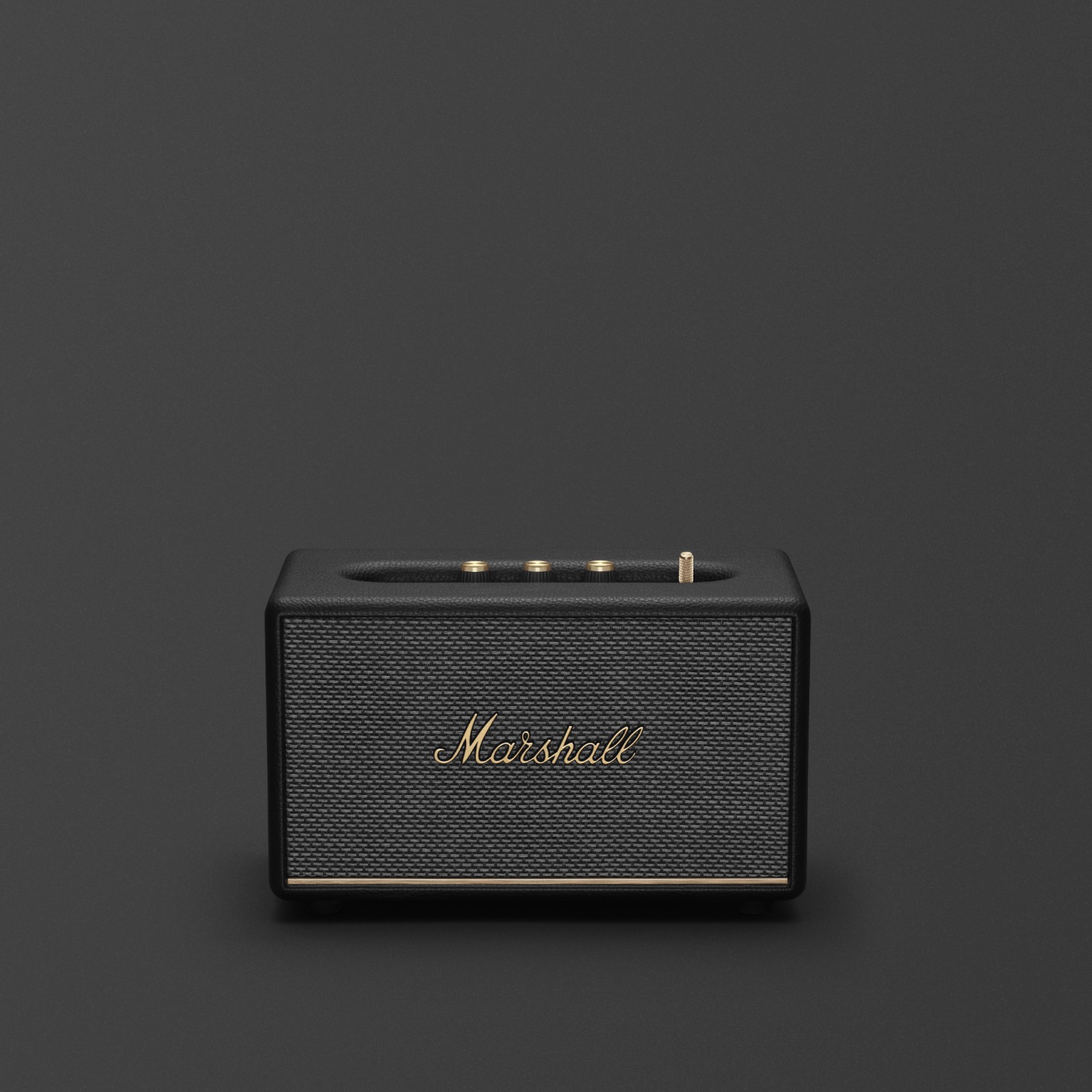 enceinte-marshall-4