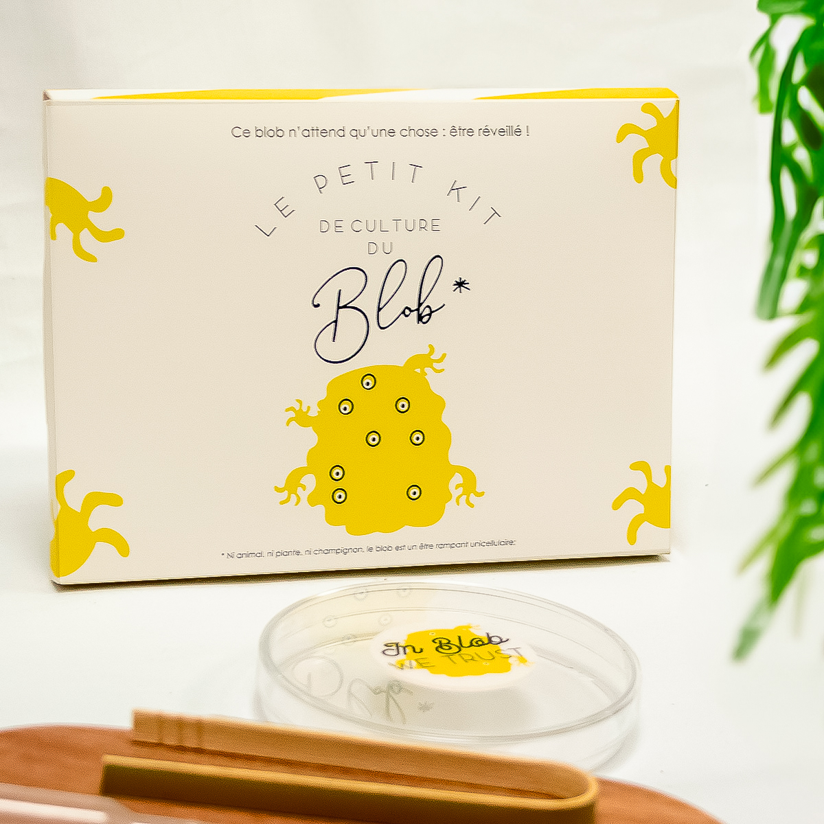 kit-culture-de-blob-pamela-loops