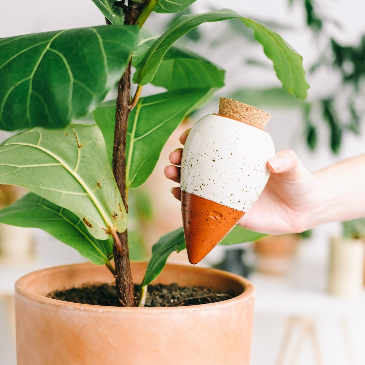 rservoir-deau-naturel-ppin-olla