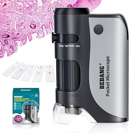 tgl_601309af-b034-4583-9938-f3384073b61f