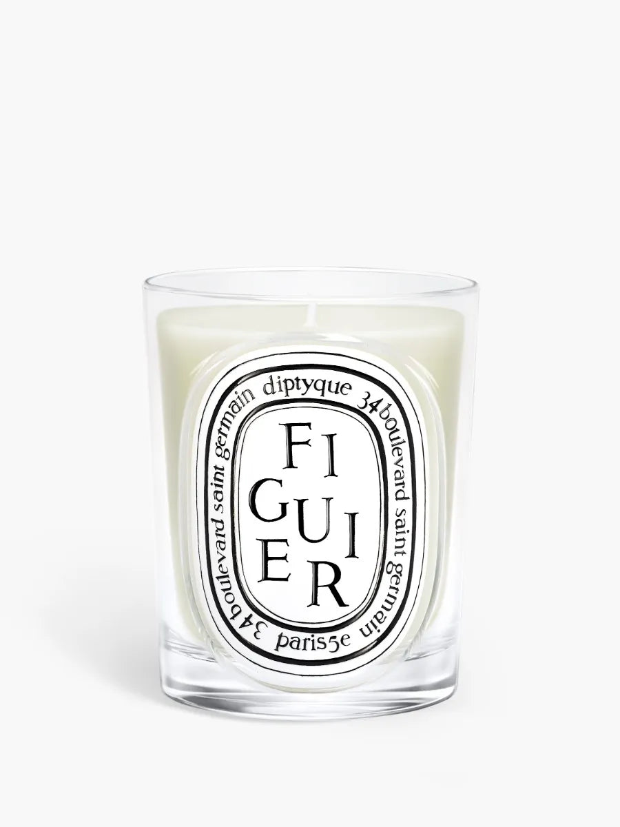 figuier-bougie-modle-classique